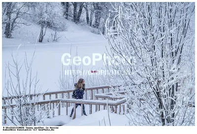 Фотография Снежная погода в Москве, парк Тропарево | Фотобанк  ГеоФото/GeoPhoto | GetImages Group