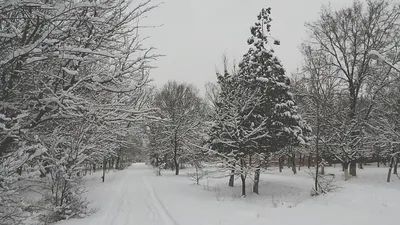 Агентство городских новостей «Москва» - Фотобанк