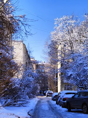 Весна! Снежная, но яркая!