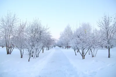 Снежная зима в городе в объективе Ревда-инфо.ру — Ревда-инфо.ру