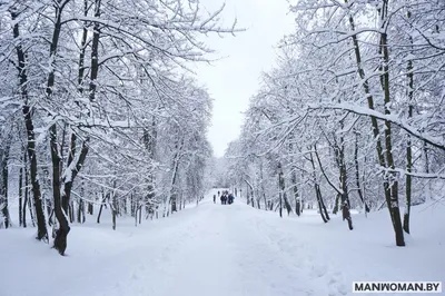 зимний фон, зима, Снежная гора, снег фон картинки и Фото для бесплатной  загрузки