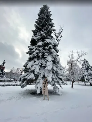 ФОТОФАКТ: Снежная зима в нашем городе.