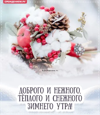 Оригинальная открытка "Доброго нежного зимнего утра!" • Аудио от Путина,  голосовые, музыкальные