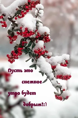 Снежные открытки "С Добрым Утром!" (150 шт.)