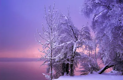 Завораживающие снежные пейзажи. ФОТОрепортаж « Фото | Мобильная версия |  Цензор.НЕТ