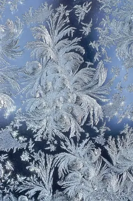 Снежные узоры на стекле (50 фото) - 50 фото