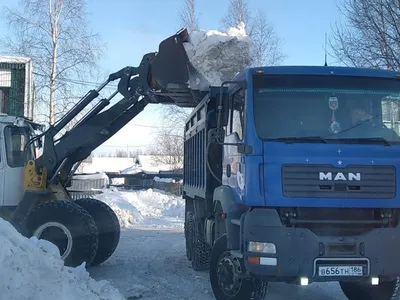 Подарочный набор «Снежные друзья» для коллег и сотрудников купить по  выгодной цене | Интернет-магазин «Чемодан подарков»