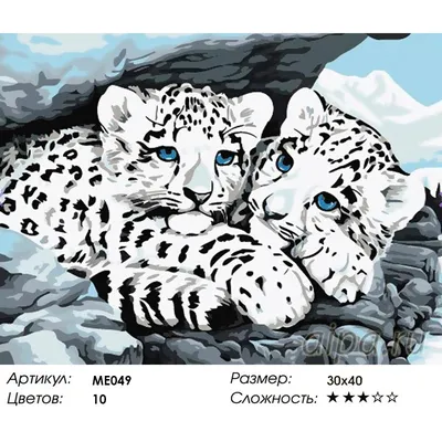Раскраска по номерам Детеныши снежного барса картина 30х40 см на холсте  Menglei купить в интернет магазине ME049 в Краснодаре , цена, отзывы, фото