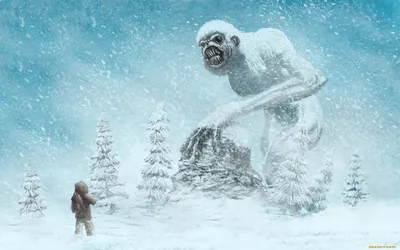 Четверо друзей заметили «снежного человека» в канадском лесу - ТРК Звезда  Новости, 