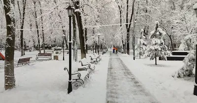 Снежный Город Скользкая Улица И Тротуар Автомобили И Деревья Покрытые  Снегом Городской Фон — стоковые фотографии и другие картинки Автомобиль -  iStock