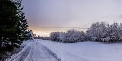 Этот месяц снежный ноябрь» — создано в Шедевруме