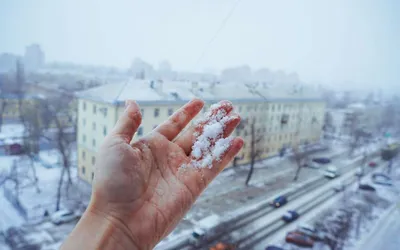 Снежный ноябрь в Туле | ЖИЗНЬ ГОРОДА | ОБЩЕСТВО | АиФ Тула