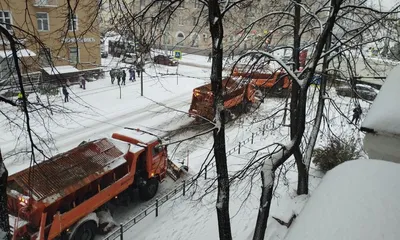 Синоптики рассказали, в каких регионах будет снежный ноябрь |  |  Новости Петрозаводска - БезФормата