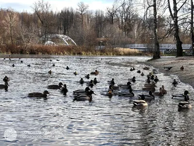 Новости