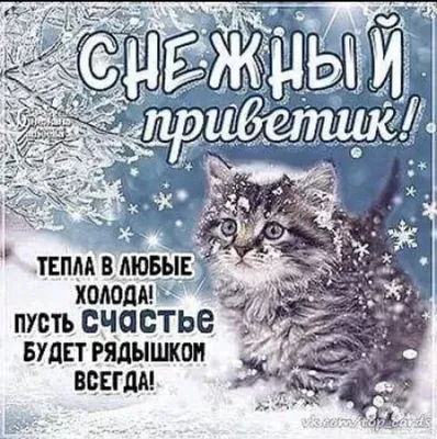 Чудесного дня! Снежный Вам привет! Пожелания на весь день. Музыкальная  открытка. - YouTube