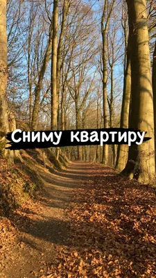 Комедийный спектакль "Сниму квартиру" в Крыму. Промо - YouTube