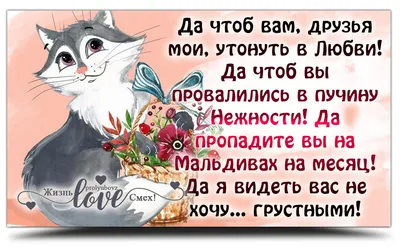 Скачать обои "Львы" на телефон в высоком качестве, вертикальные картинки  "Львы" бесплатно