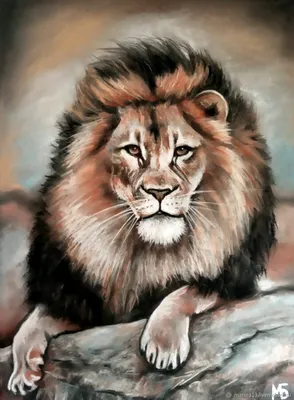 Картина "Мудрый лев". Картина со львом. Картина лев, львы – купить на  Ярмарке Мастеров – R1HWMRU | Картины, Самара