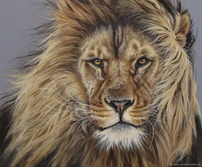 Картины: Картина со львом – купить онлайн на Ярмарке Мастеров – NC3MARU |  Картины, Москва