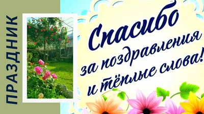 Благодарность за поздравления — открытки и картинки на вайбер, пожелания  мирного неба - Телеграф