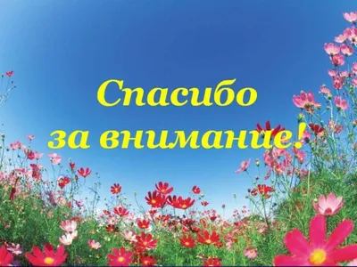 Картинки спасибо за внимание со словами продолжение следует (47 фото) »  Красивые картинки, поздравления и пожелания - 