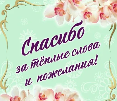 Картинки спасибо за внимание с юмором (50 фото) » Красивые картинки,  поздравления и пожелания - 