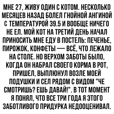 Веселые и жизненные картинки с надписями со смыслом (10 фото) - Зашибись -  15 октября - 43490809484 - Медиаплатформа МирТесен