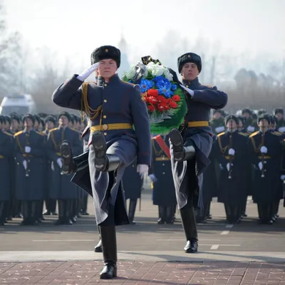 Что подарить коллегам на 23 февраля, 139 идей подарка коллеге мужчине на 23  февраля 2024