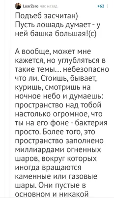 Мат в русском языке: лингвист — о происхождении, этимологии, эротической  литературе и фольклоре на лекции о сексе в Казани - Инде