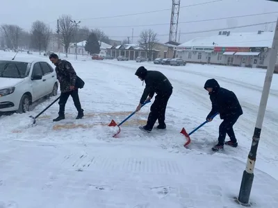 ФОТО | Весна? Нет, не слышали! Часть Эстонии накрыло снегом - Delfi RUS