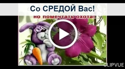 С волшебной средой вас, чюваки. : r/Pikabu