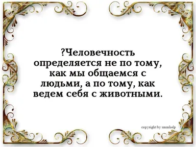 Статусы #Цитаты #Ценность #Любовь #ТыМояВселенная #Пост #Репост #Доверие  🥰🥰❤❤💕💕 | ВКонтакте