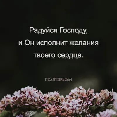 Pin by Veronika Faleeva on Стихи из Библии | Bible verses, Christian  quotes, Christian pictures