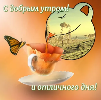 ДОБРОЕ УТРО!!! ☀️🌹🕊️ Христианское пожелание.Стихи из Библии. - YouTube