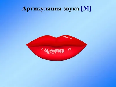 Звуковая карта M-Audio AIR 192|4 купить в Минске, Беларуси