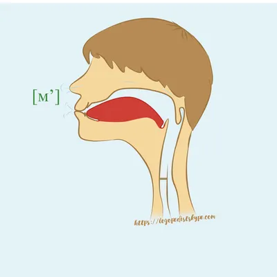 Дифференцируем звуки [м], [н]. Блог Лого-Эксперт
