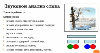 Нейрологопедический набор «Звук [С]. 5 в 1» – Настольные игры – магазин  