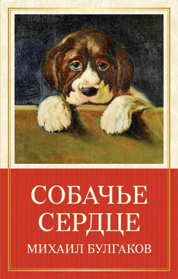 Цитаты "Собачье сердце" | Пикабу