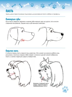 Рисование тычками и с элементами размазывания в старшей группе «Романтичная  собака» (15 фото). Воспитателям детских садов, школьным учителям и  педагогам - Маам.ру