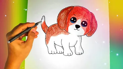 Рисунки карандашом для начинающих собачки - 86 фото