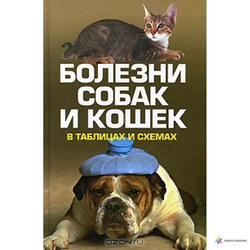 Инфекционные болезни собак и кошек. Болезни собак и кошек книга. Болезни собак и кошек в таблицах и схемах. Болезни собак книга.