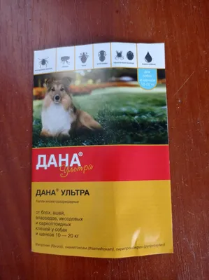 Купить Пеленки AnimAll Puppy Training Pads для собак и щенков, 60×45 см, 10  штук, цена 115 грн —  (ID#1633861705)