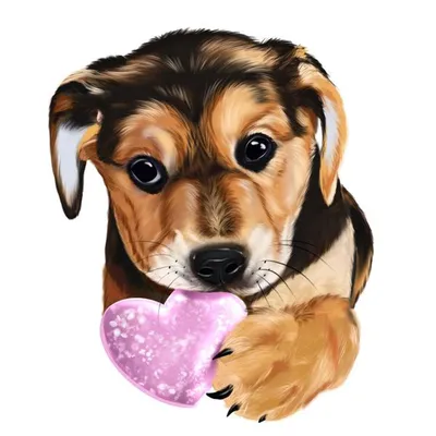 собака рисунок: 42 тыс изображений найдено в Яндекс.Картинках | Dog clip  art, Cartoon dog, Cute puppies