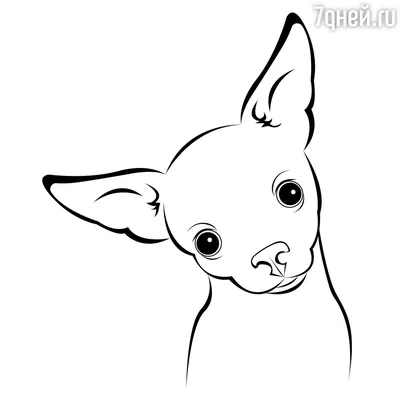 Как нарисовать собаку карандашом - YouTube