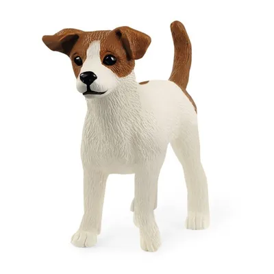 Порода собак Джек-рассел-терьер — описание, характер, фото | Блог на  