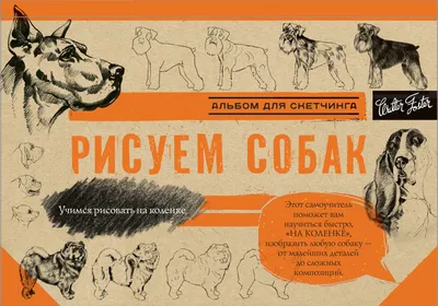 Книга Э "Учимся рисовать с Кристофером Хартом" Кошек и собак  978-5-04-109657-1 ITD000000001043871 купить за 789,00 ₽ в интернет-магазине  Леонардо