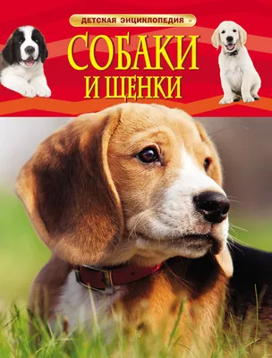 Прикольные открытки и смешные стихи в День объятий с вашей собакой 10  апреля | Курьер.Среда | Дзен