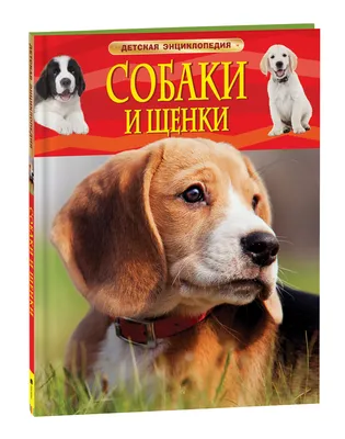 Рюкзак детский "Собака", плюшевый купить в Чите Детские рюкзаки в  интернет-магазине Чита.дети (9893214)