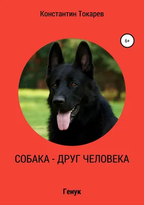 Научная игротека «Собака — друг человека!» 26 января | Детский квартал