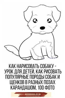 Как нарисовать собаку простым карандашом для начинающих | Рисунок поэтапно  и легко для детей и взрослых